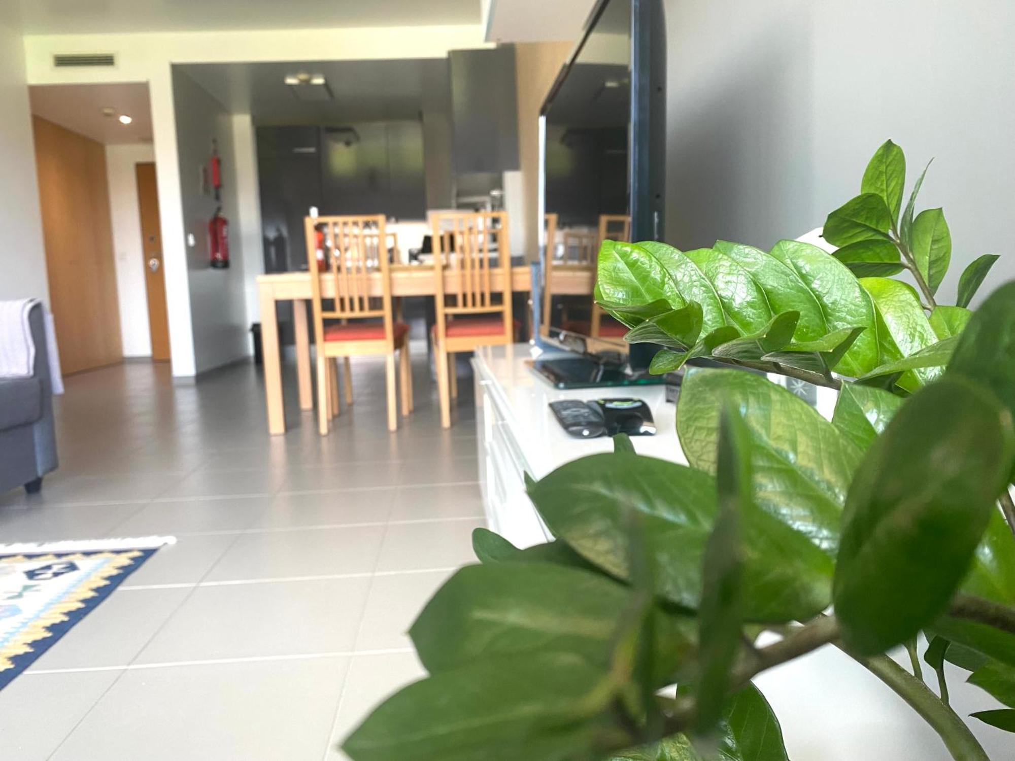 Apartment Portimao, Da Rocha *
